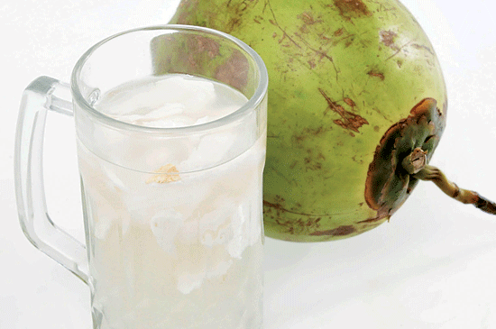 Air Kelapa Obati Cacar Air Medanbisnisdaily 