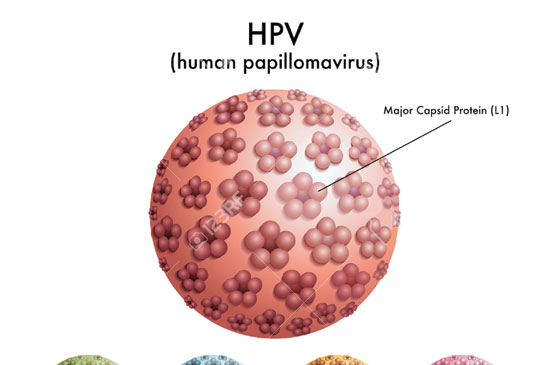 virus hpv yang menyebabkan kanker serviks manie de vierme de inimă