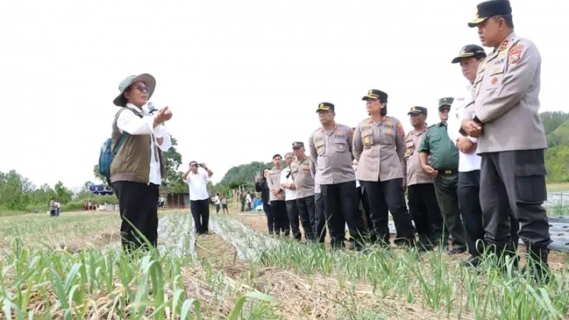 Luhut Panjaitan Ajak Bupati Vandiko Gultom ke Cina Pelajari Teknologi Bawang Putih, Bidik Samosir Jadi Sentra Nasional