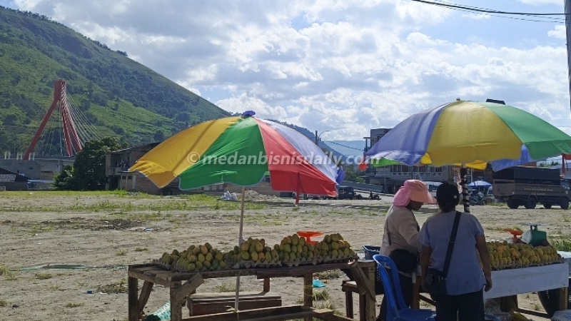 Mangga Lokal Samosir Laris Diburu Wisatawan, Jadi Oleh-Oleh Favorit Saat Libur Sekolah, Cek Harganya