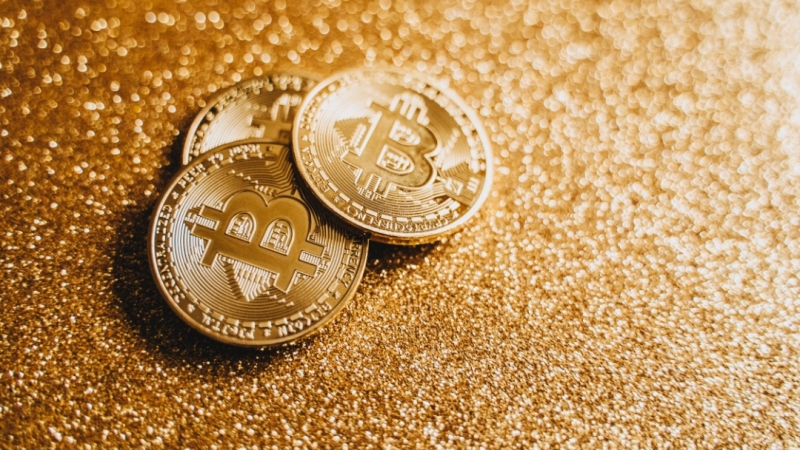 Mengenal Pippin Coin dan Perkembangannya di Tengah Aset Crypto