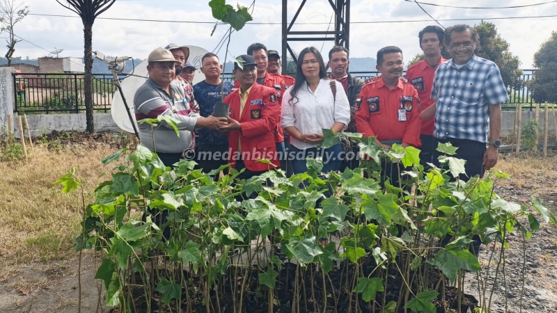 Pemkab Dairi Salurkan 1.300 Bibit Kemiri kepada Pemuda Batak Bersatu Sumbu