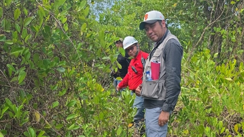 Rehabilitasi DAS PT DPM Hadirkan Manfaat Bagi Lingkungan dan Masyarakat
